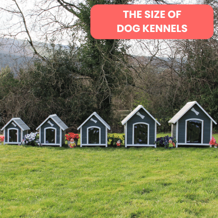The Size of Dog Kennels